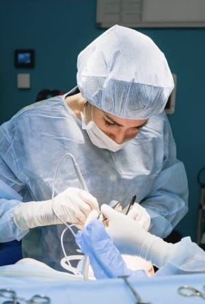 Top Labiaplasty Surgeons